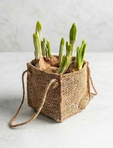 Jute Draagtasje