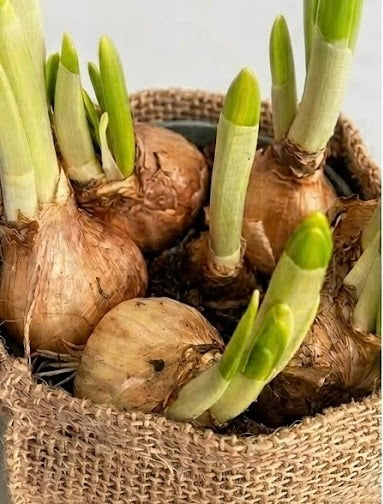 Jute Draagtasje